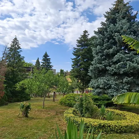 Apartment Palatinus Keszthely