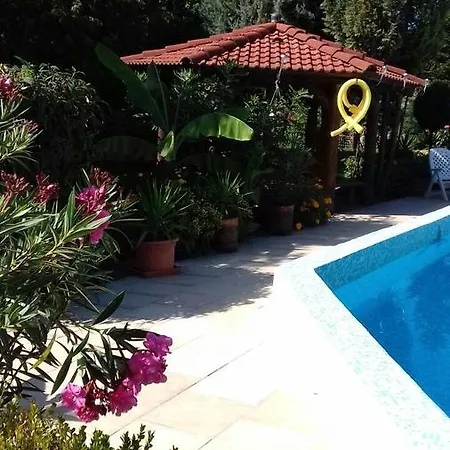 Apartment Palatinus *