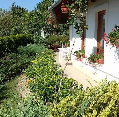 Palatinus קסזטלי