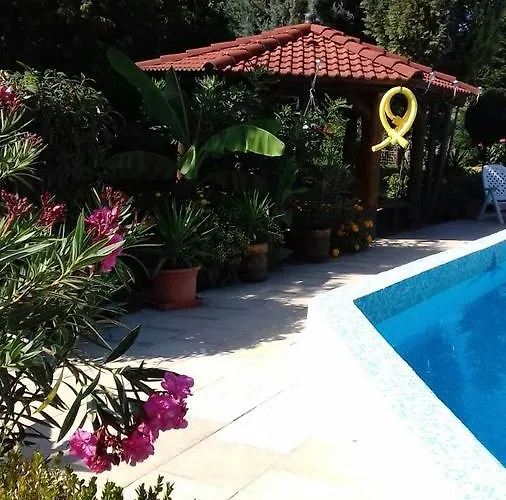 דירה Palatinus *