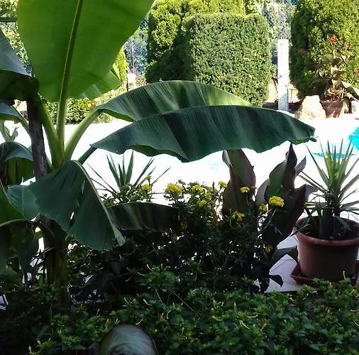 Appartement Palatinus Keszthely