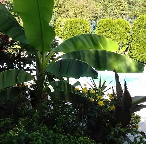 Appartement Palatinus