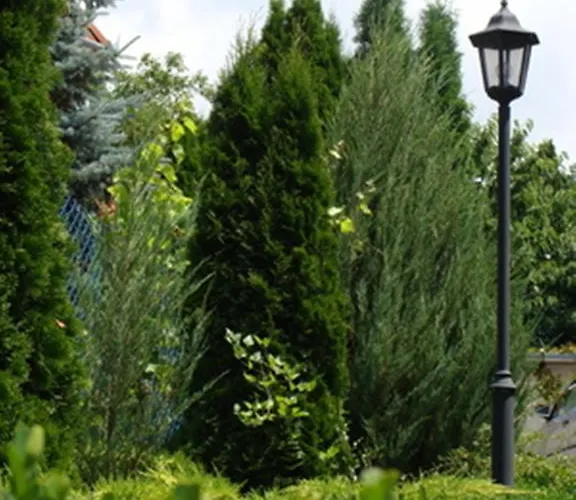 Palatinus דירה קסזטלי